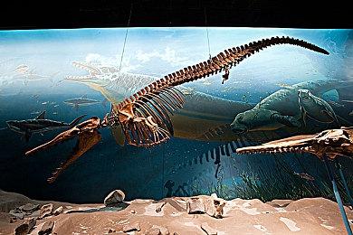 《宝可梦：朱＆紫》预售销量已打破系列最高记录